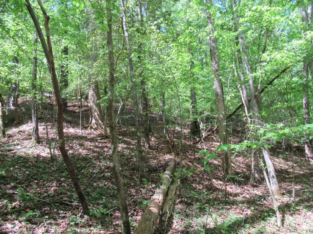0 Chestatee Drive Property Photo 5