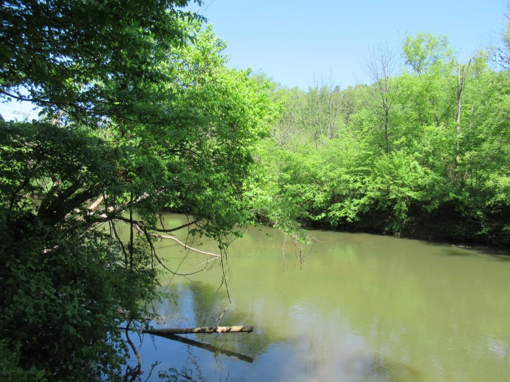 0 Chestatee Drive Property Photo 7