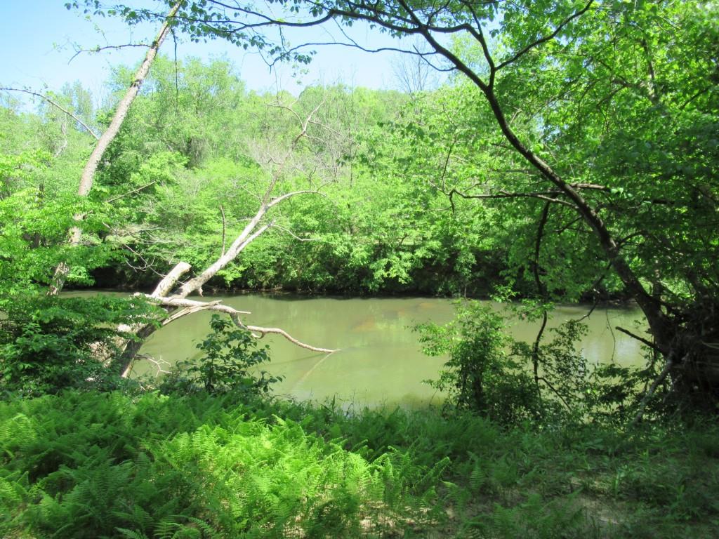 0 Chestatee Drive Property Photo 8