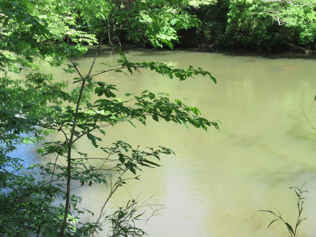0 Chestatee Drive Property Photo 9