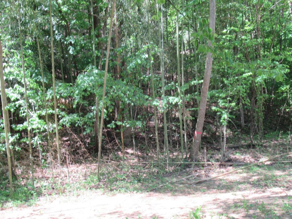 0 Chestatee Drive Property Photo 10
