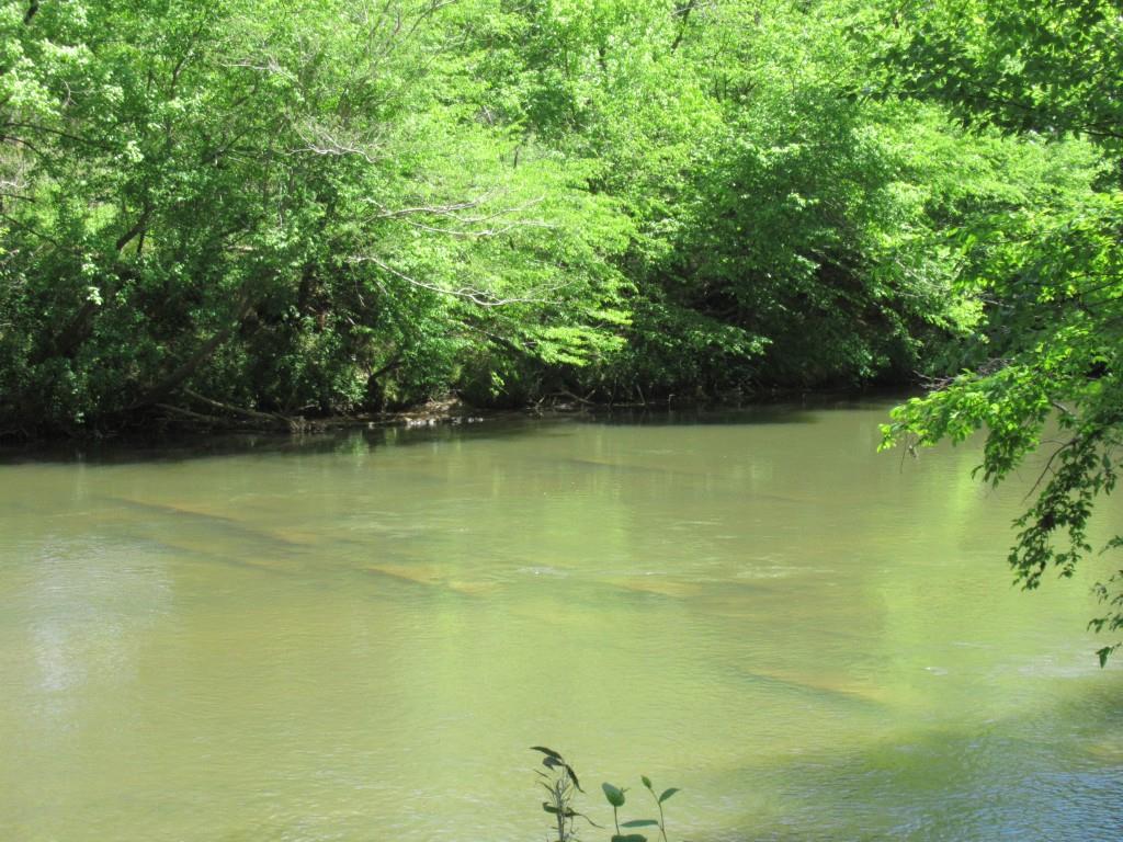 0 Chestatee Drive Property Photo 11