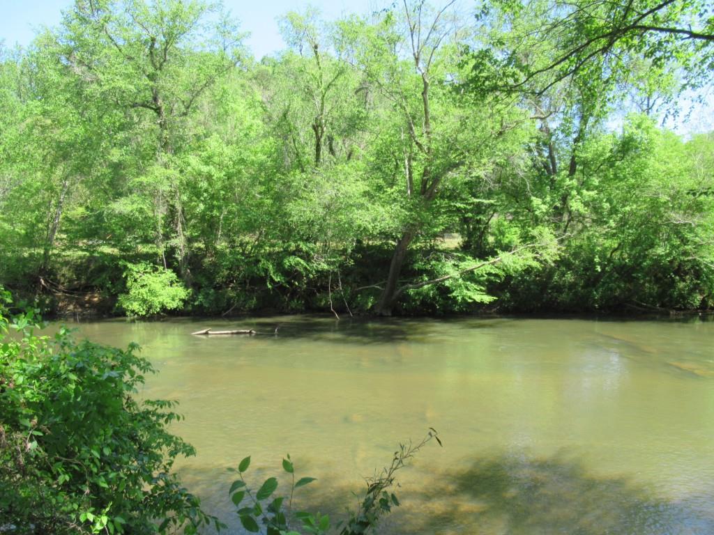 0 Chestatee Drive Property Photo 12