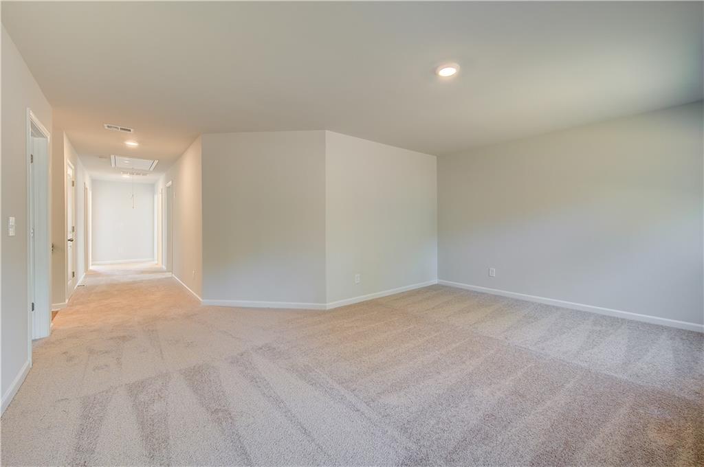 672 Leafy Branch Way Property Photo 24