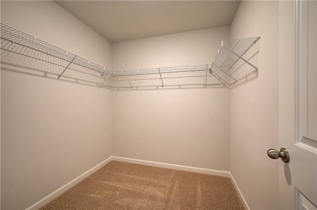 672 Leafy Branch Way Property Photo 31