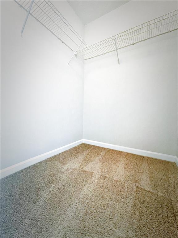 3368 Hill Pond Drive Property Photo 15