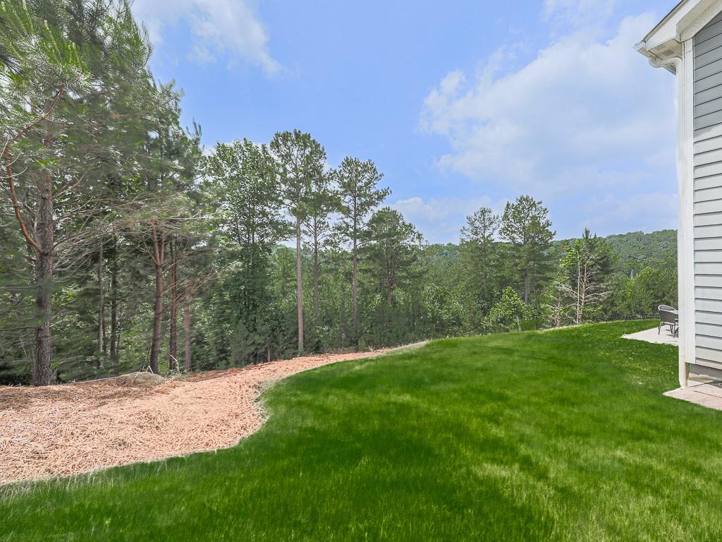 507 Perdue Trail Property Photo 44