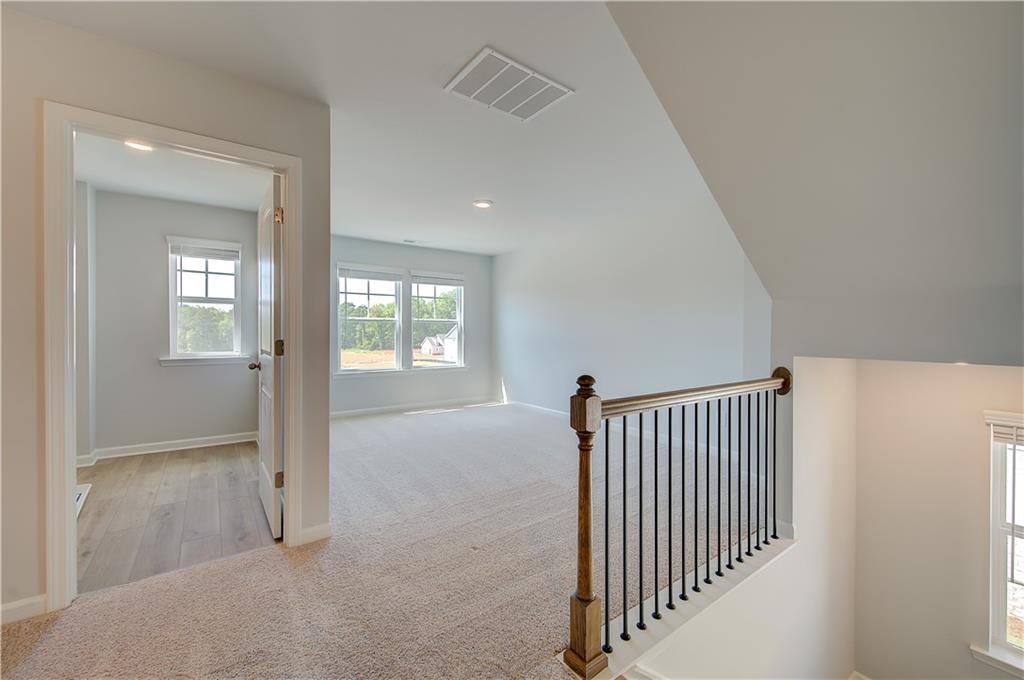 652 Leafy Branch Way Property Photo 20