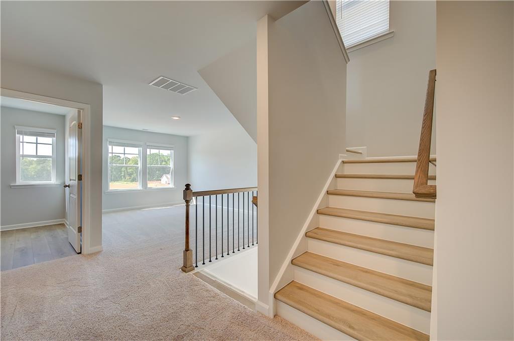 652 Leafy Branch Way Property Photo 29