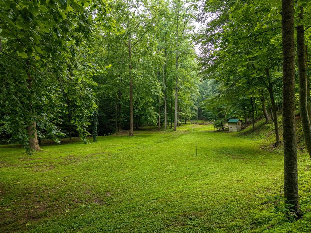1117 Rambling Road Property Photo 4