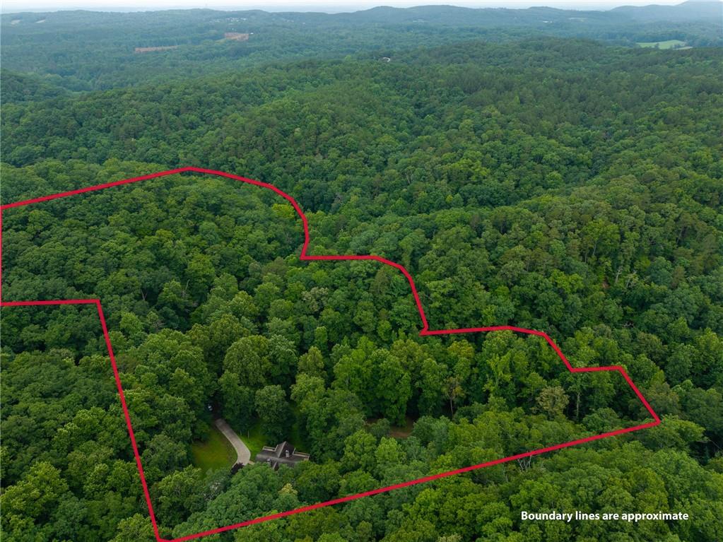 1117 Rambling Road Property Photo 20
