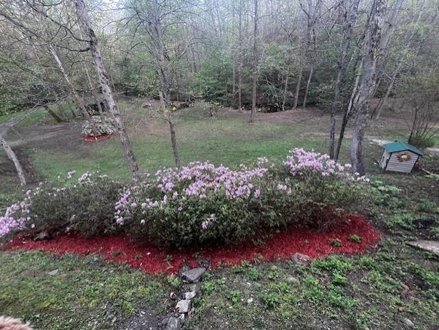 1117 Rambling Road Property Photo 72