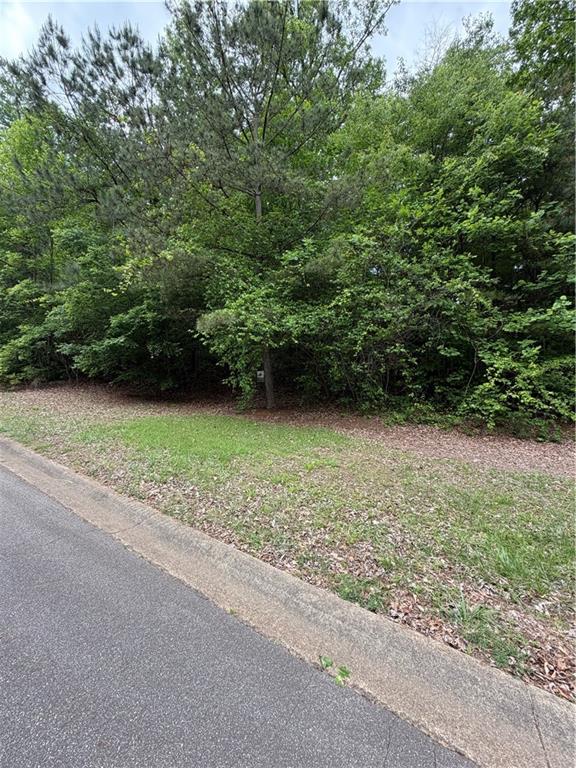 702 Windsor Estates Way Property Photo 5