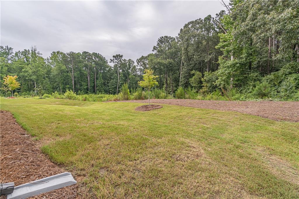 3644 Arrow Root Circle Property Photo 13