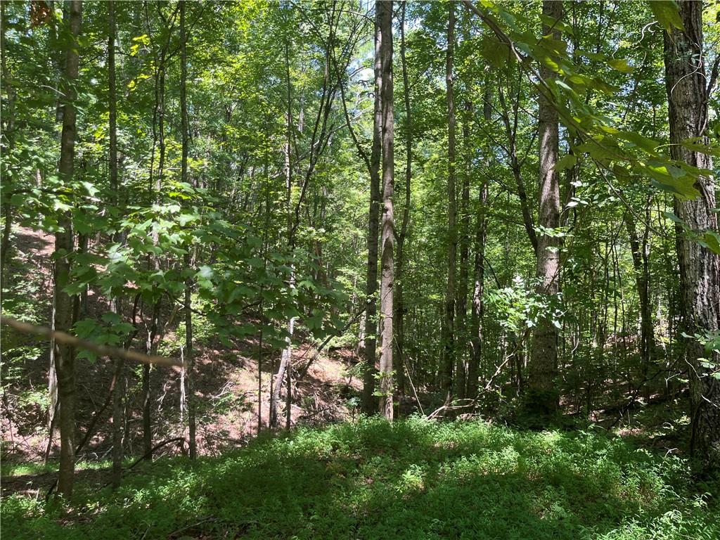 0 S Twin Oaks Drive Property Photo 1