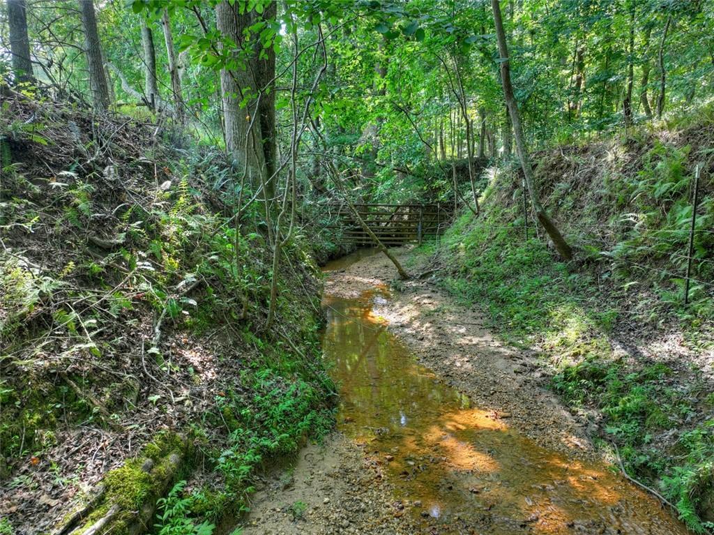 267 Sharp Mountain Parkway Property Photo 68