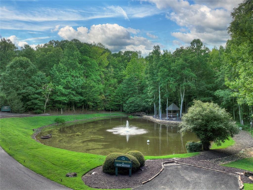 267 Sharp Mountain Parkway Property Photo 81