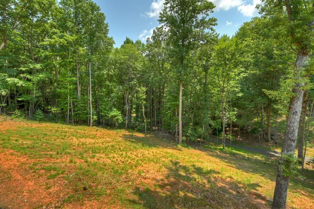 607 Satsuma Court S Property Photo 4