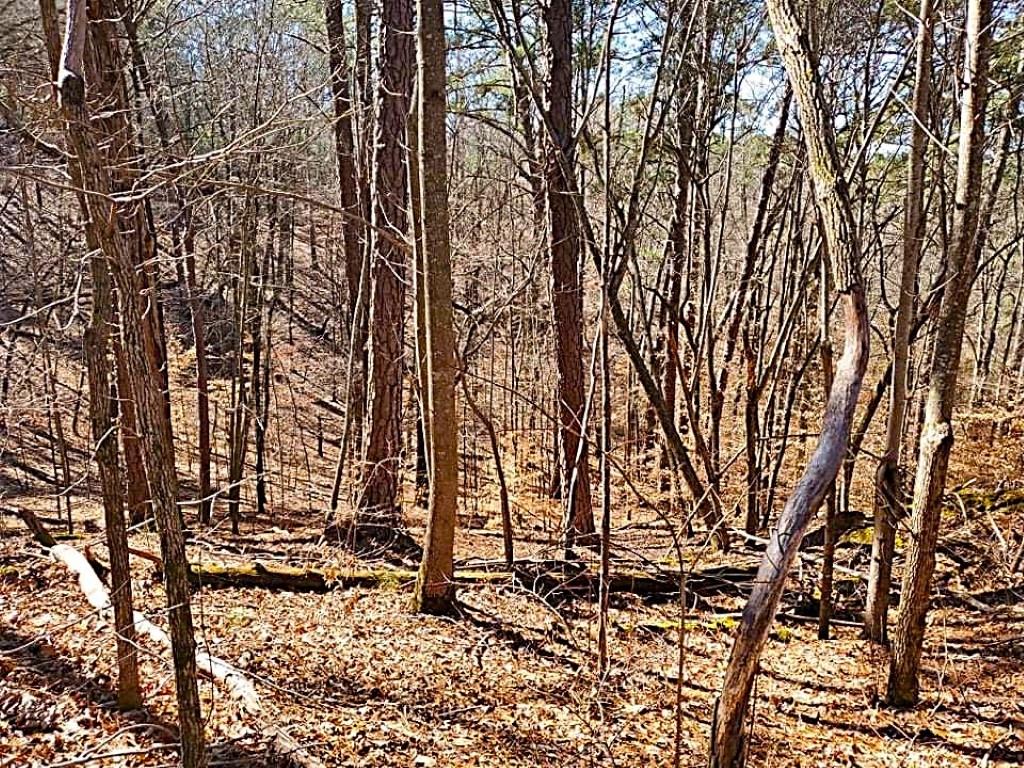 0 Overlook Drive Property Photo 7
