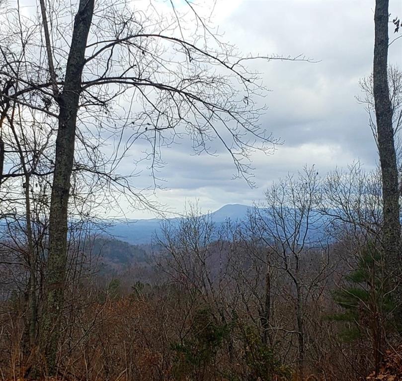 0 Overlook Drive Property Photo 8