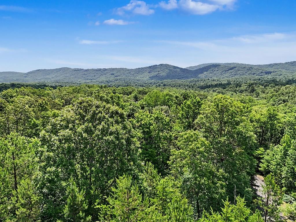 383 Rustic Barn Trail Property Photo 75