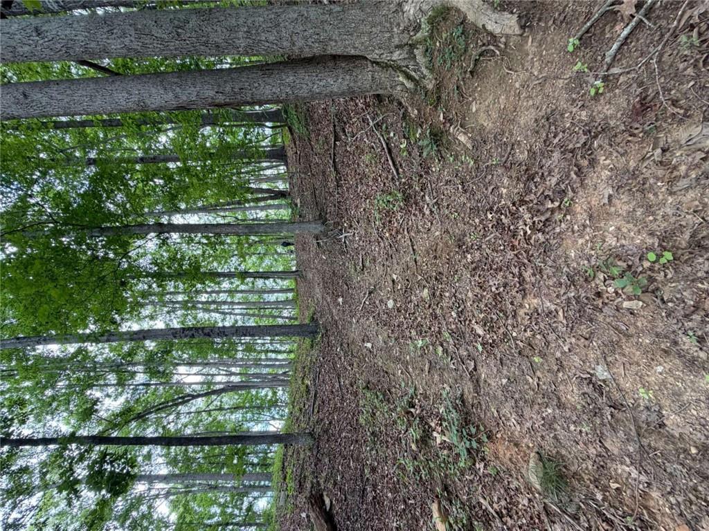 131 Nicholson Lane Property Photo 13