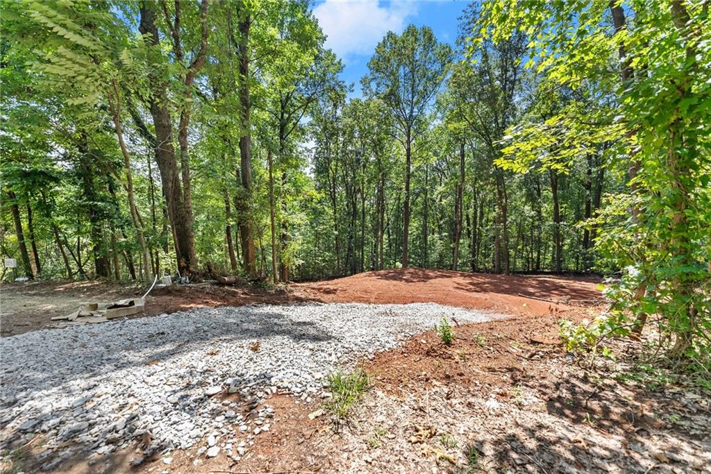 3320 Cooper Bridge Road Property Photo 5