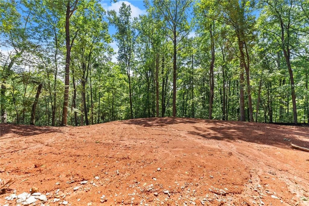 3320 Cooper Bridge Road Property Photo 7