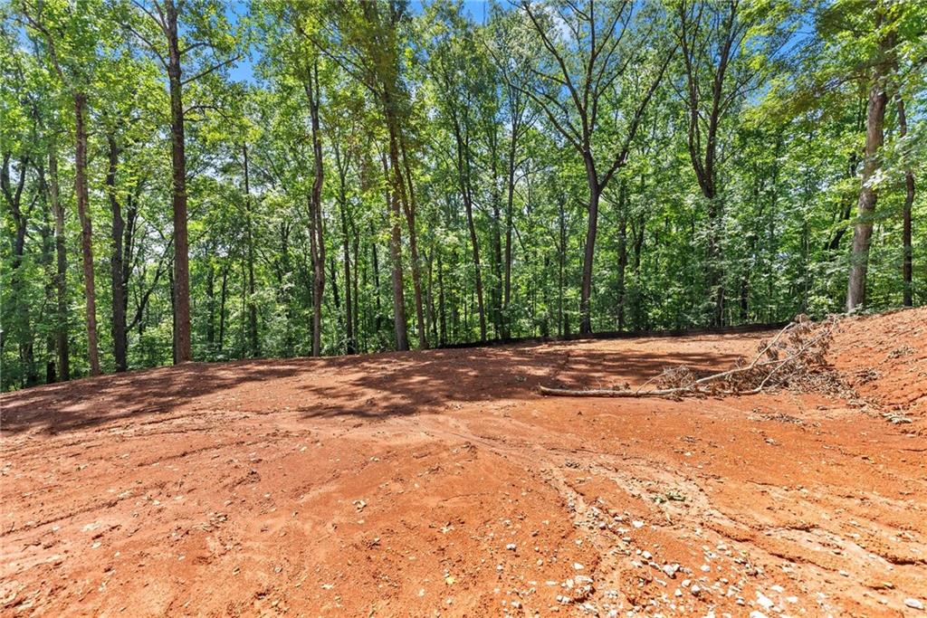 3320 Cooper Bridge Road Property Photo 8