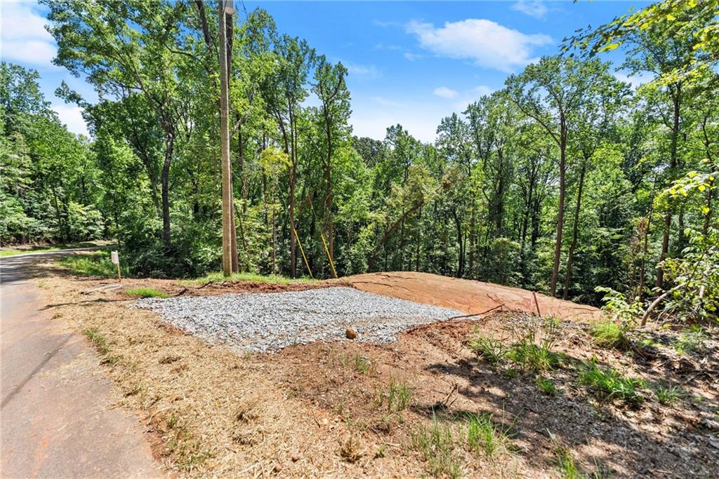 3320 Cooper Bridge Road Property Photo 9