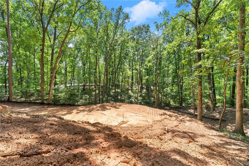 3320 Cooper Bridge Road Property Photo 12
