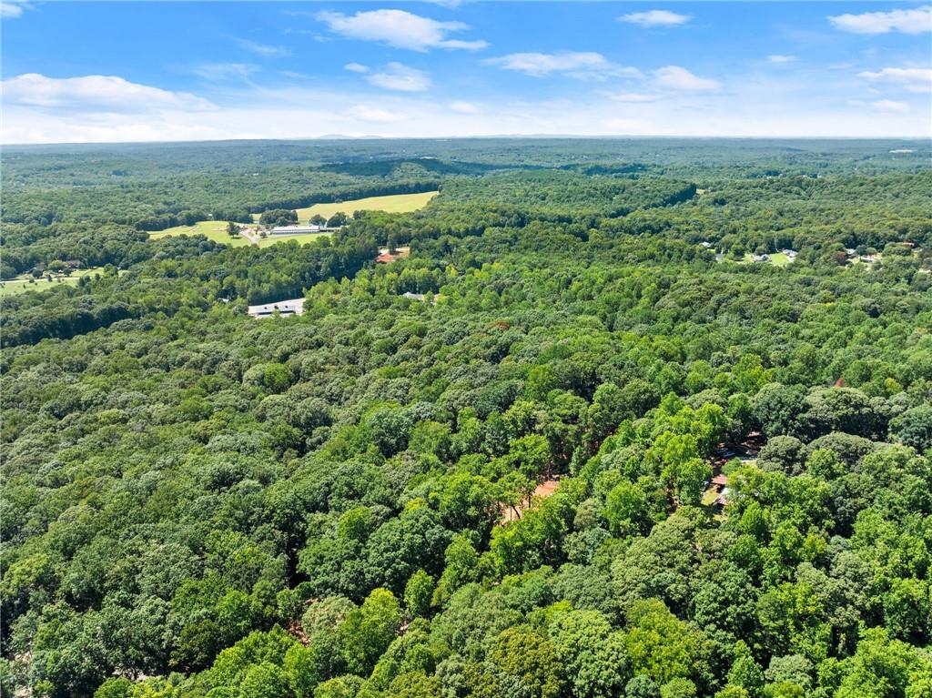 3320 Cooper Bridge Road Property Photo 19
