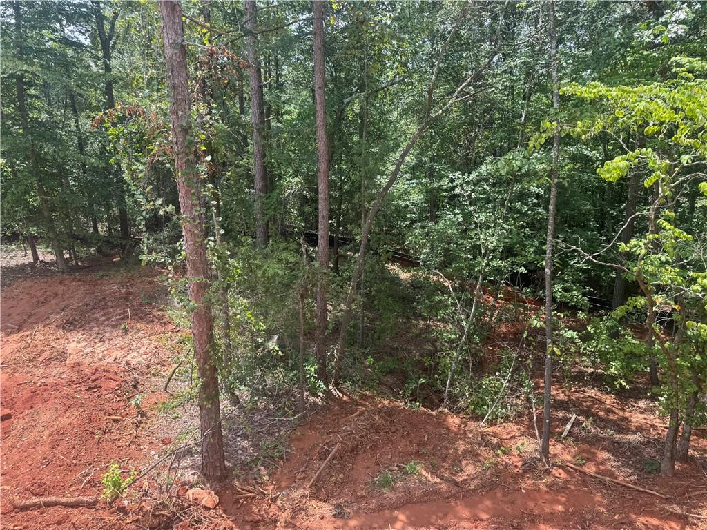 158 Blackberry Court Property Photo 10
