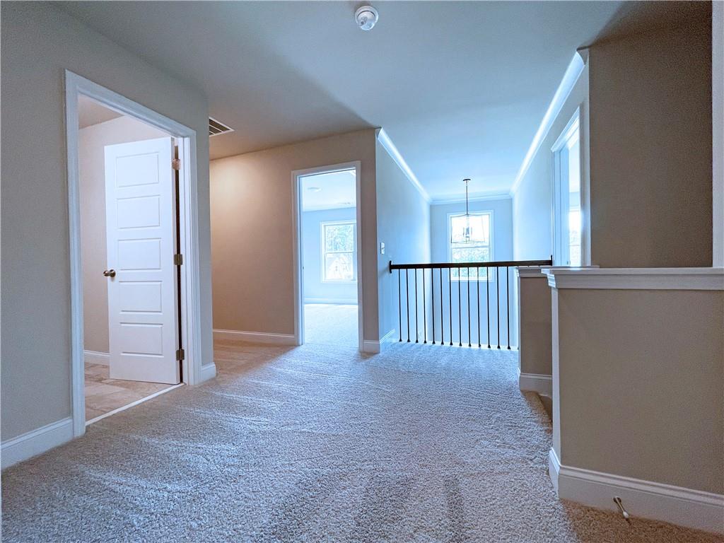 415 Brown Dove Ln Property Photo 18