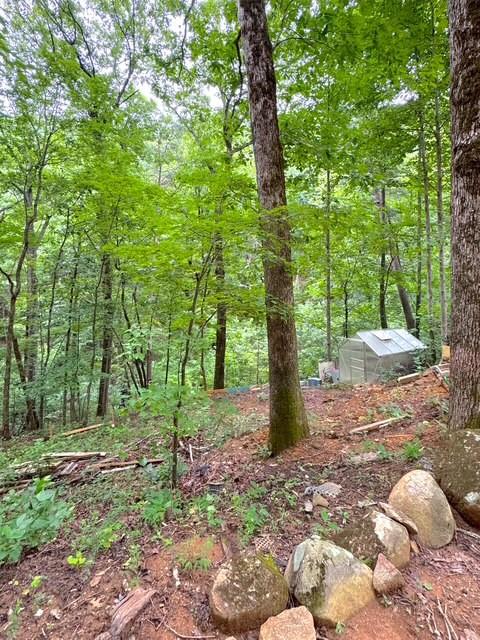 655 Mount Sequoyah Road Property Photo 16