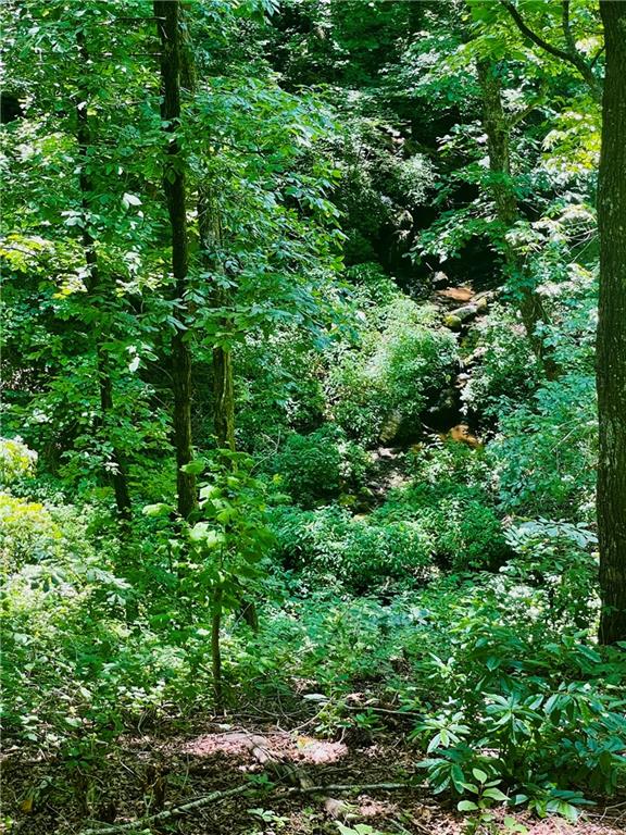 655 Mount Sequoyah Road Property Photo 17