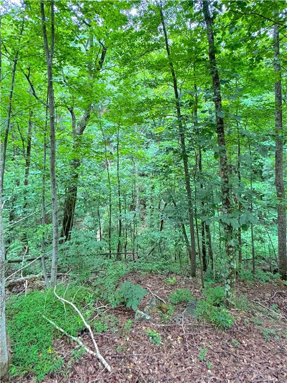 655 Mount Sequoyah Road Property Photo 45