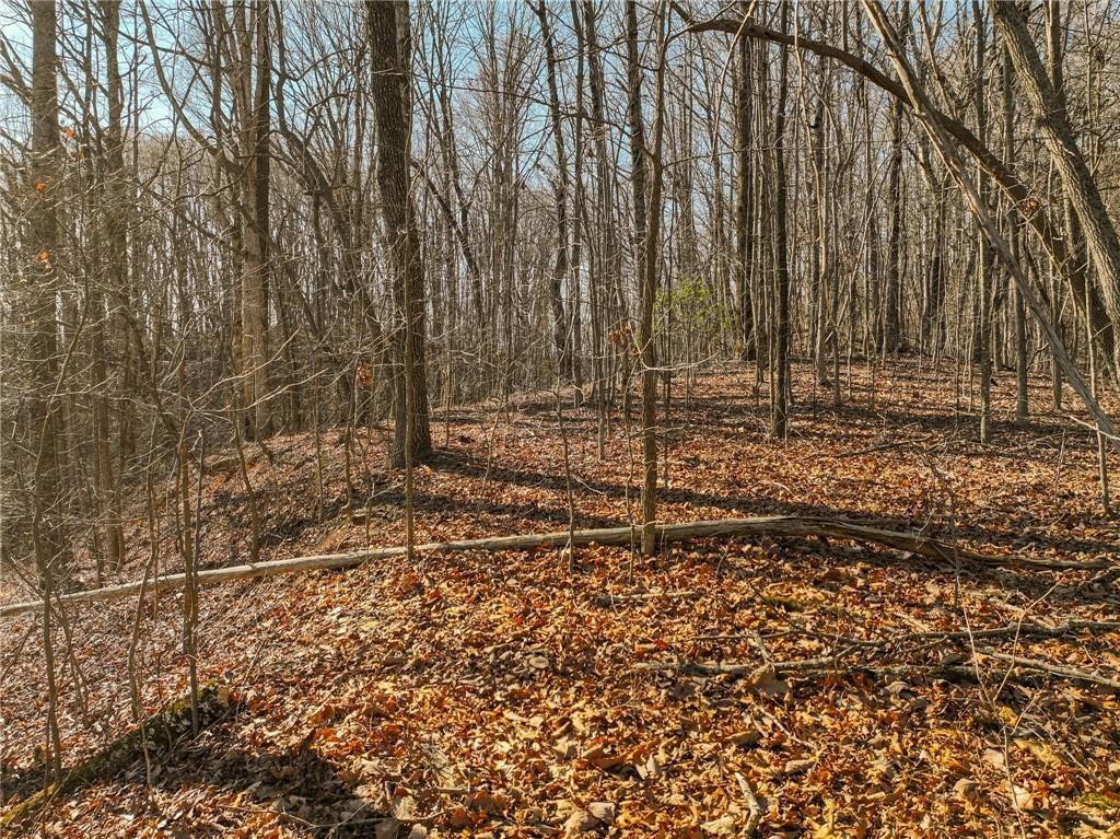 Lot 5 Mount Mincie Road Property Photo 1