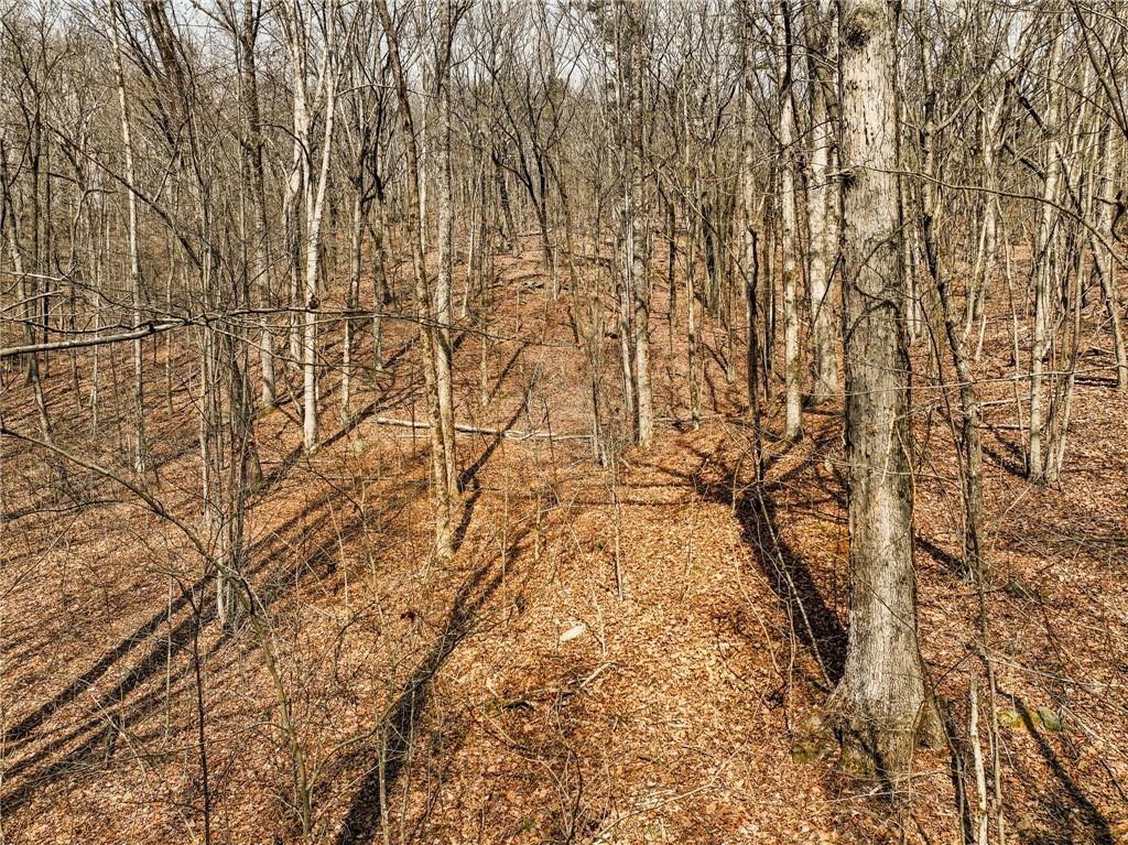 Lot 6 Mount Mincie Road Property Photo 1
