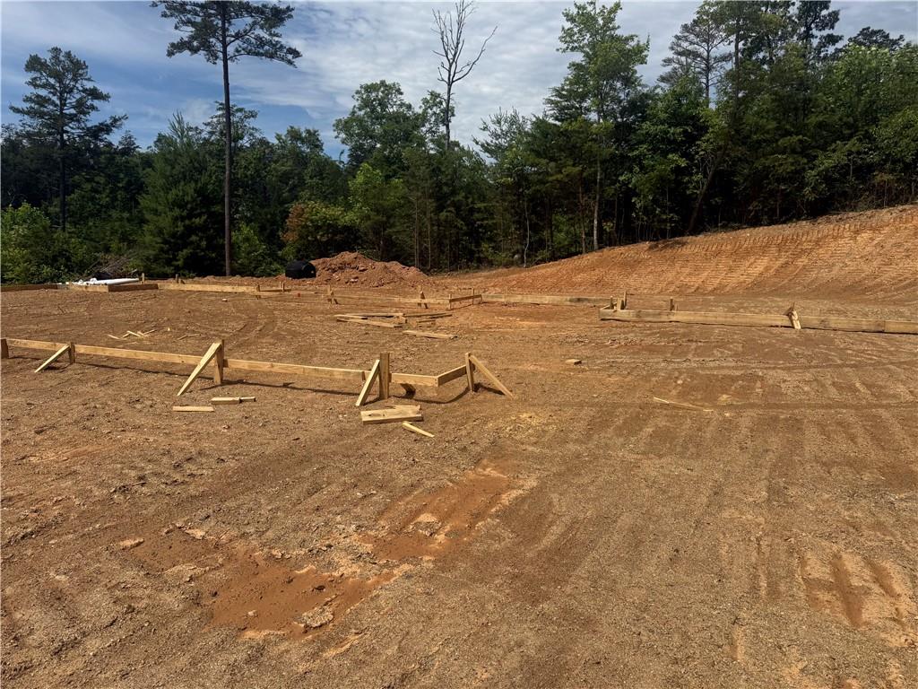 02 Blue Mountain Road Property Photo 9