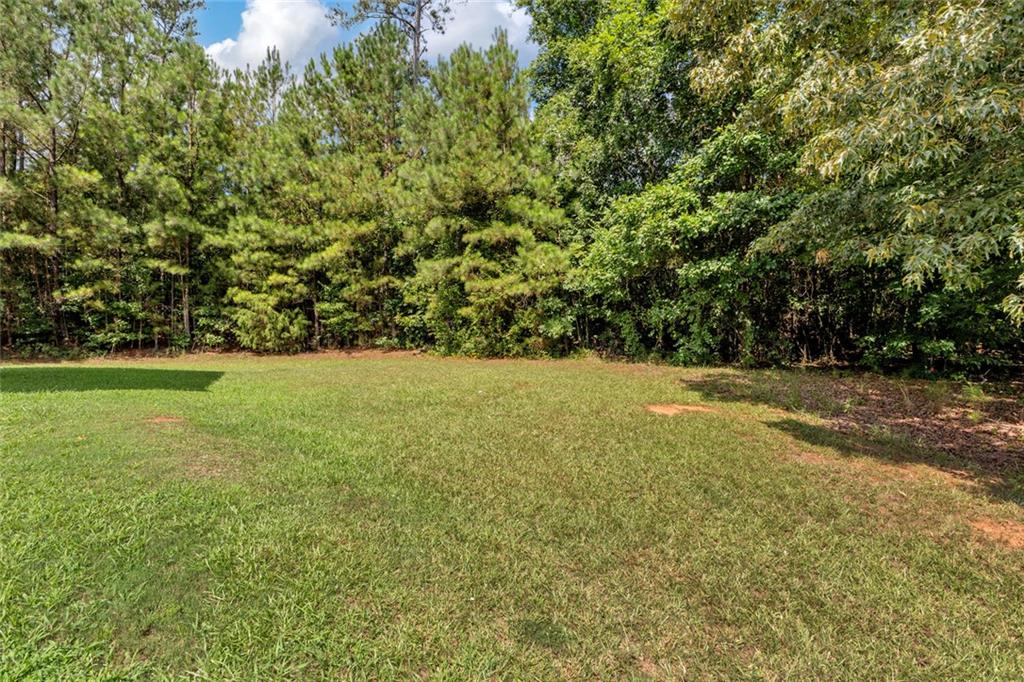 145 Clover Valley Drive Property Photo 24