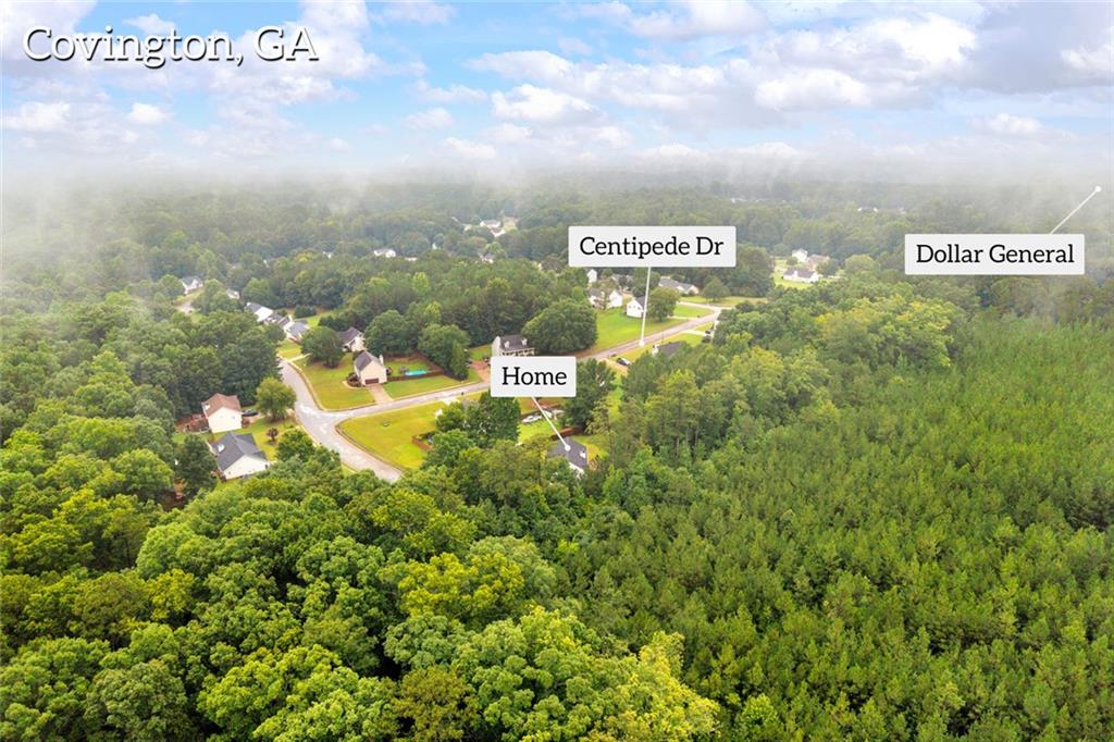 145 Clover Valley Drive Property Photo 81