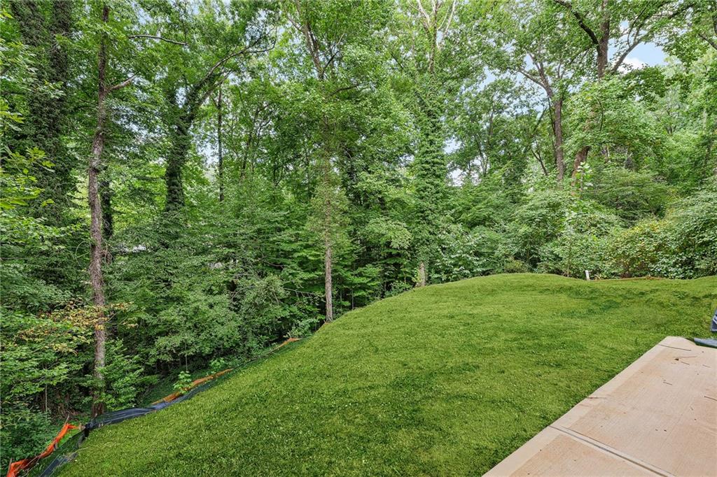 2147 Briarwillow Drive Property Photo 42