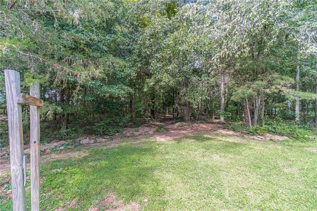 2301 Matt Michell Lane Property Photo 43