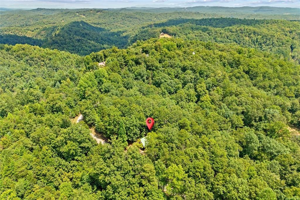 937 Aurora Lane Property Photo 41