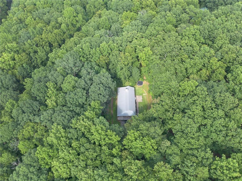 76 Star Wars Path Property Photo 53