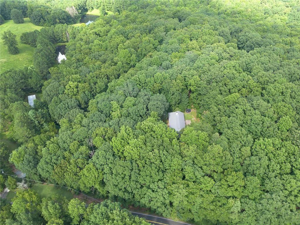 76 Star Wars Path Property Photo 54
