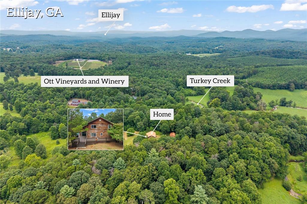 455 Holt Road Property Photo 22