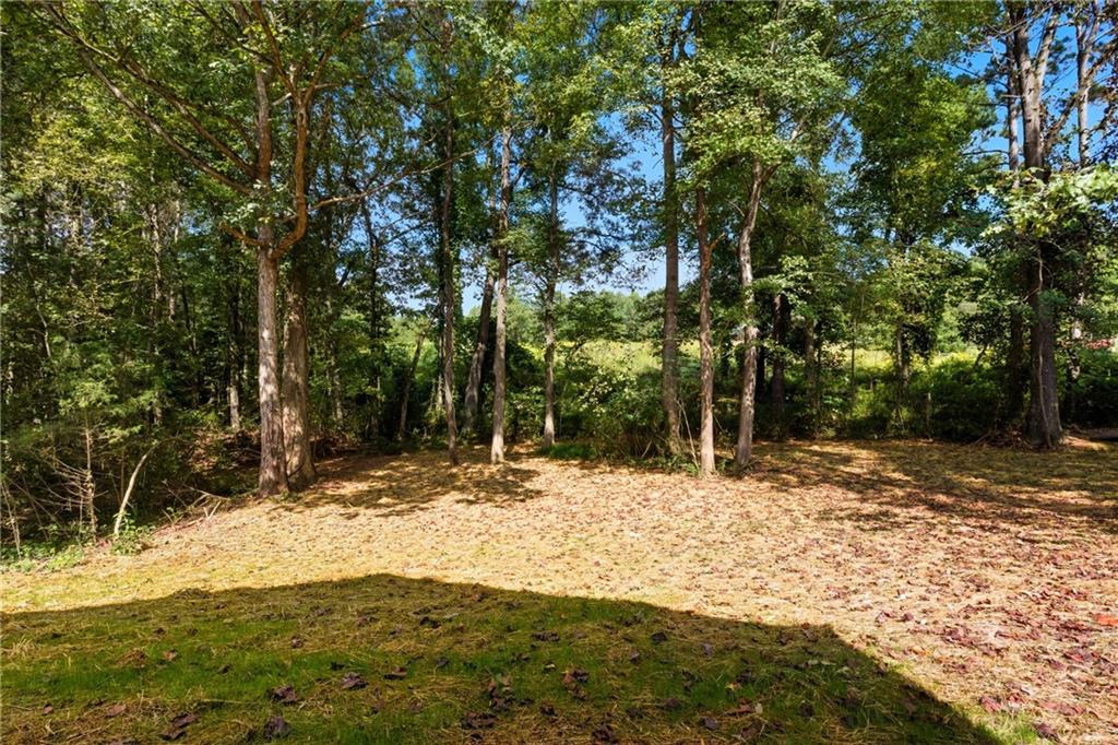 193 Tabitha Page Lane Property Photo 24