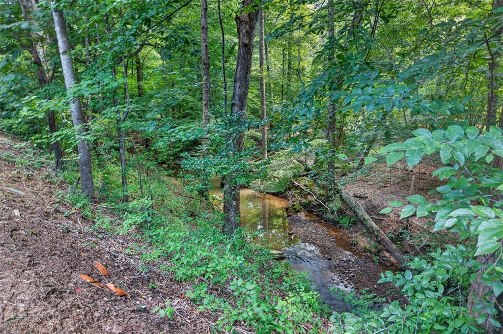 2294 Meadow's End Property Photo 34